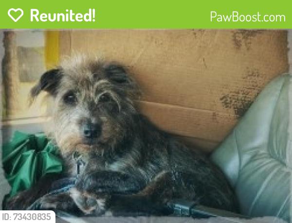 Reunited Male Dog last seen lancaster and Chapman, derby and ford., Oakland, CA 94601