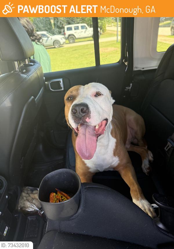 Found/Stray Male Dog last seen Lake Dow Rd., McDonough, GA 30252
