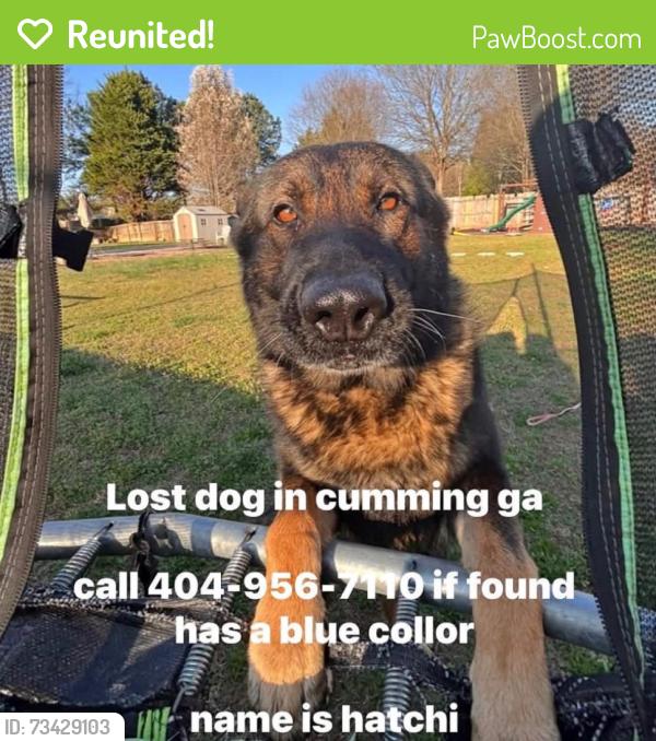 Reunited Male Dog last seen Near Bridgeshaw Dr Cumming, GA 30028 United States, Cumming, GA 30028