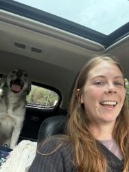 Reunited Female Dog last seen Allen and California, St. Louis, MO 63104