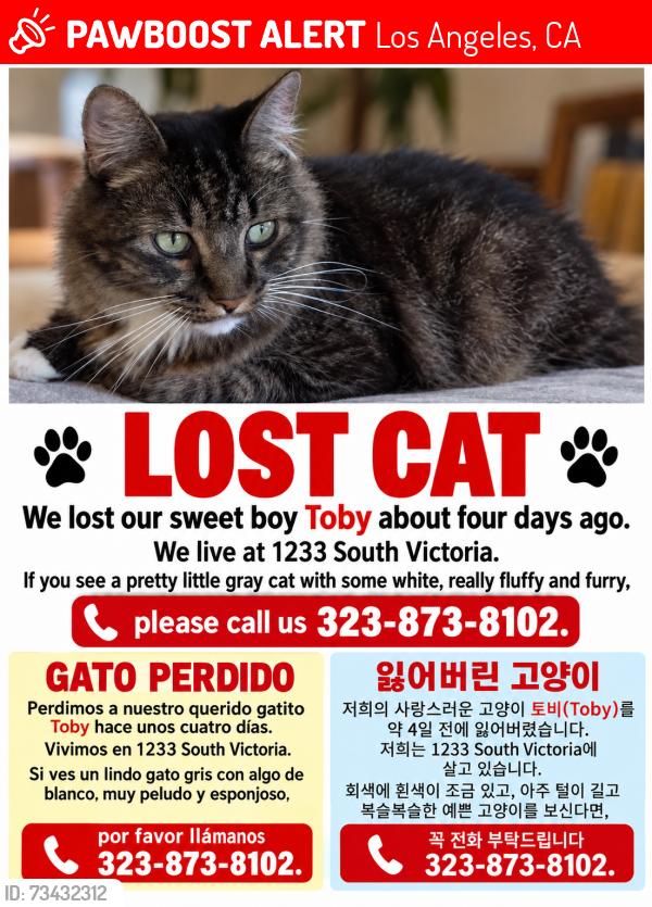 Lost Male Cat last seen Victoria Ave. between Pico and 12th St., Los Angeles, CA 90019