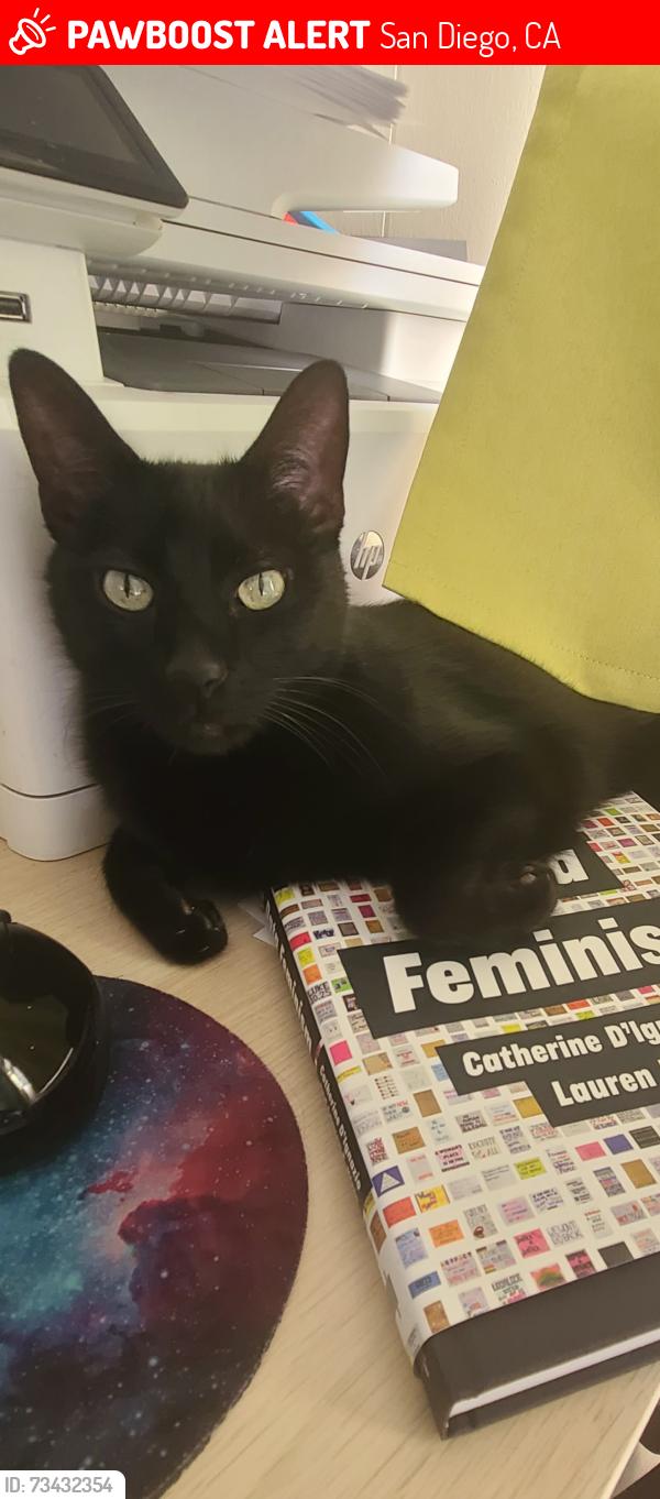Lost Male Cat last seen Avenida grande 92129, San Diego, CA 92129