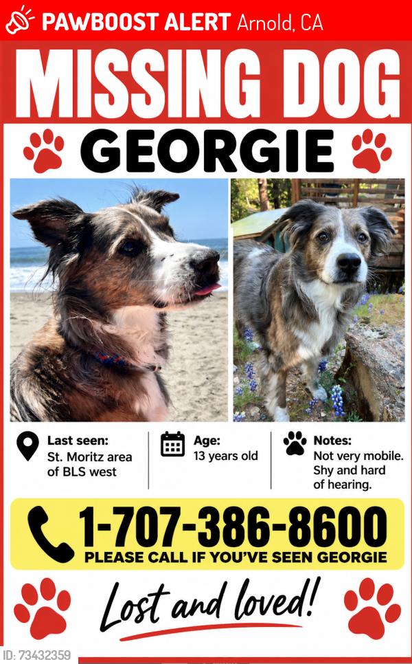Lost Female Dog last seen St. Moritz, Blue Lake Springs, Arnold, CA, Arnold, CA 95223