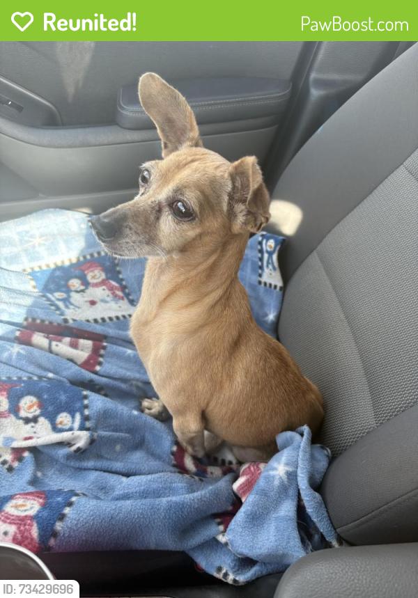 Reunited Male Dog last seen Stride Park, Houston, TX 77009