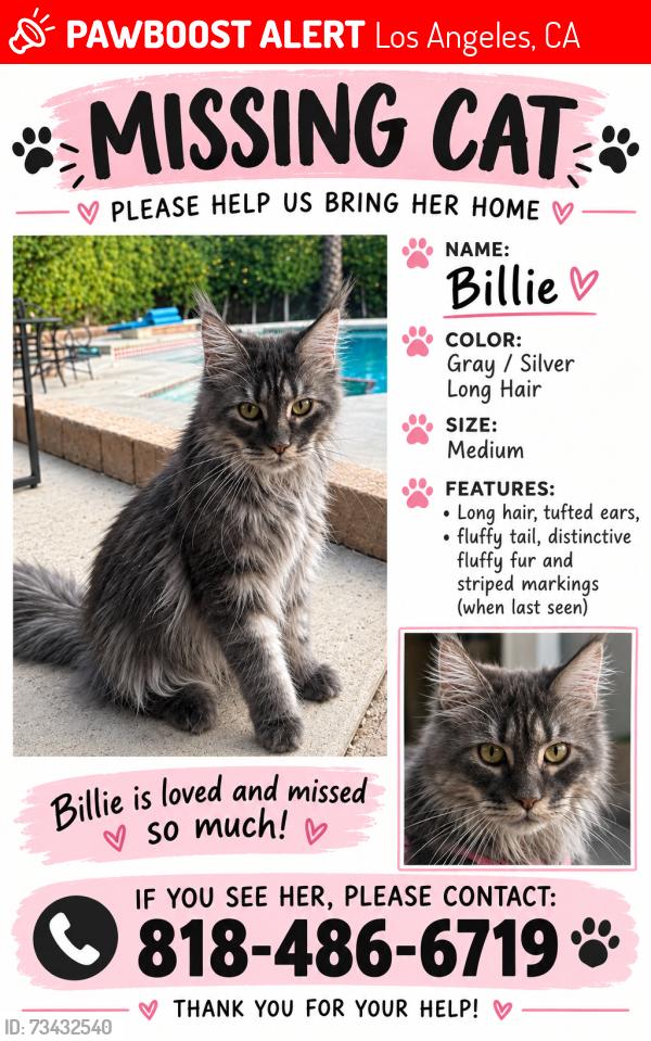 Lost Female Cat last seen Chatsworth and De sota, Los Angeles, CA 91311