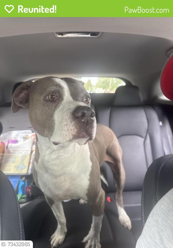 Reunited Female Dog last seen Maplewood Rd & Hermitage Rd., Henrico County, VA 23228