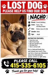 Reunited Male Dog last seen Near gellert, Daly City, CA 94015
