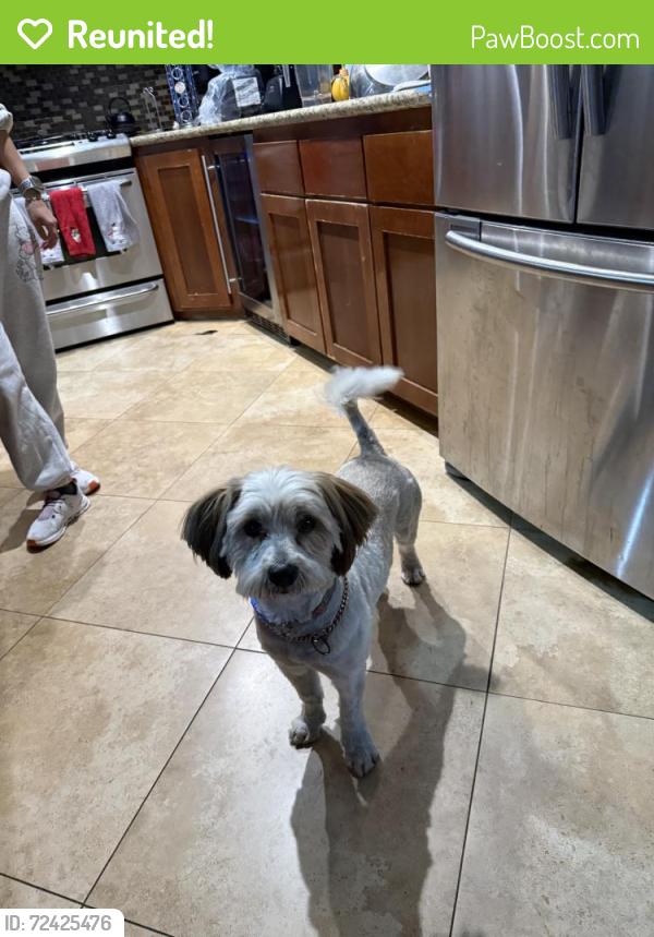 Reunited Male Dog last seen Dell Dale St, Channelview, TX, USA, Channelview, TX 77530