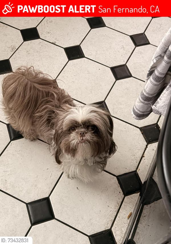 Lost Male Dog last seen 2nd st and Hubbard, San Fernando, CA 91340