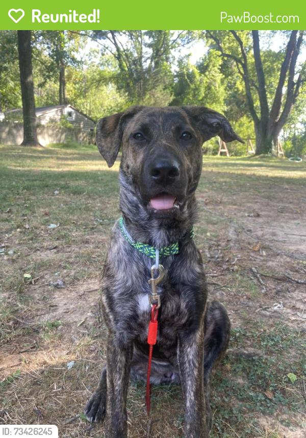 Reunited Female Dog last seen Olney Sandy-Spring Rd, Olney, MD 20832