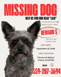 Lost Male Dog last seen Walnut and florence, Fresno, CA 93706