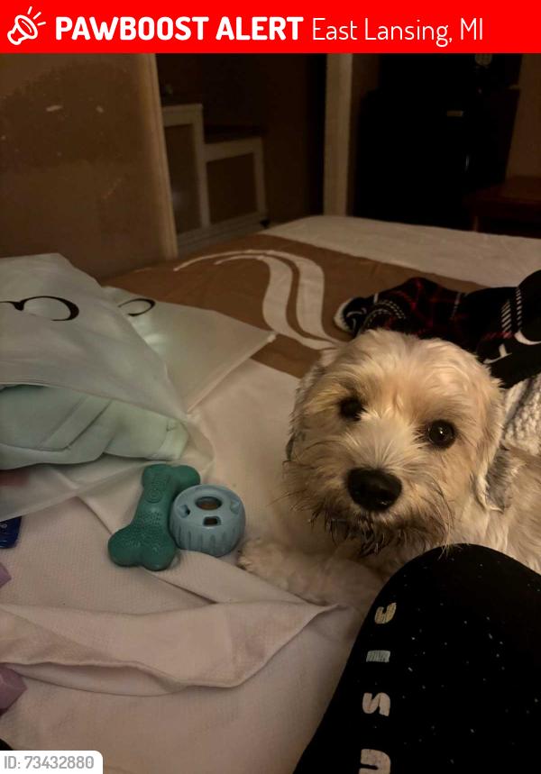 Lost Male Dog last seen Lake Lansing Rd, East Lansing, MI 48823