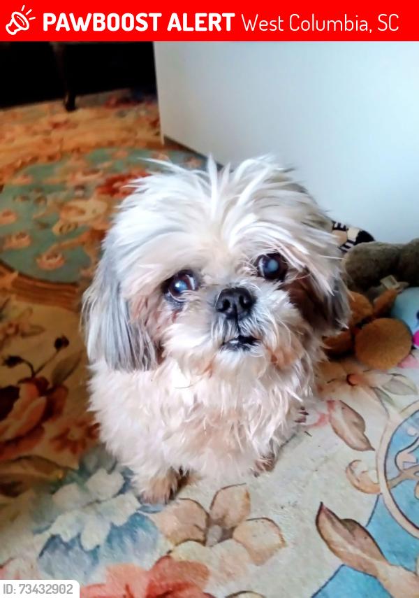 Lost Female Dog last seen Near Mobile park way west Columbia, West Columbia, SC 29170