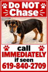 Lost Female Dog last seen Last seen running near Camino Del Sur and Carmel Valley, San Diego, CA 92129