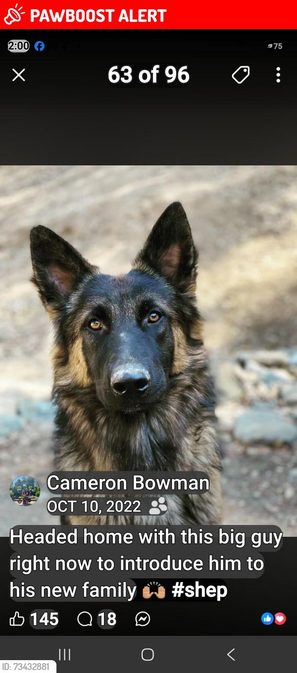 Lost Male Dog last seen Logan lane, El Dorado County, CA 95667