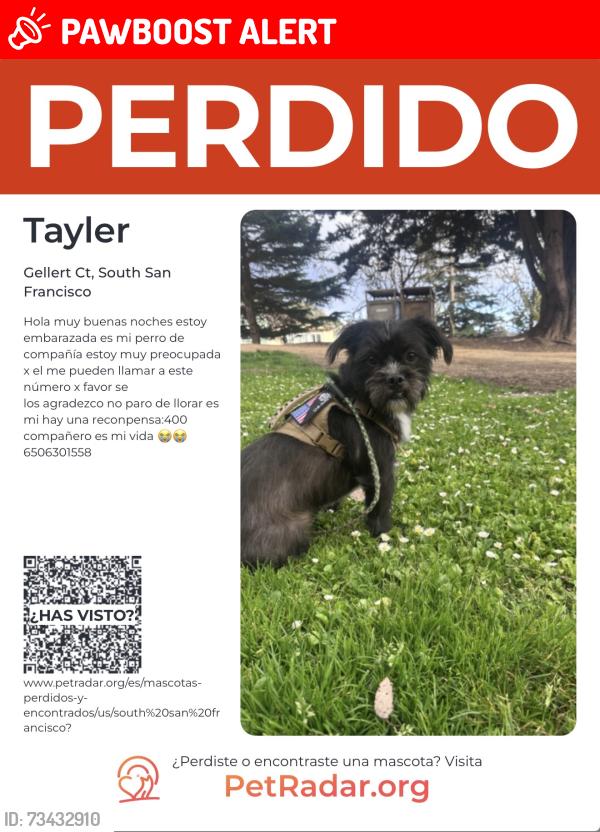 Lost Male Dog last seen South San Francisco ca, South San Francisco, CA 94066