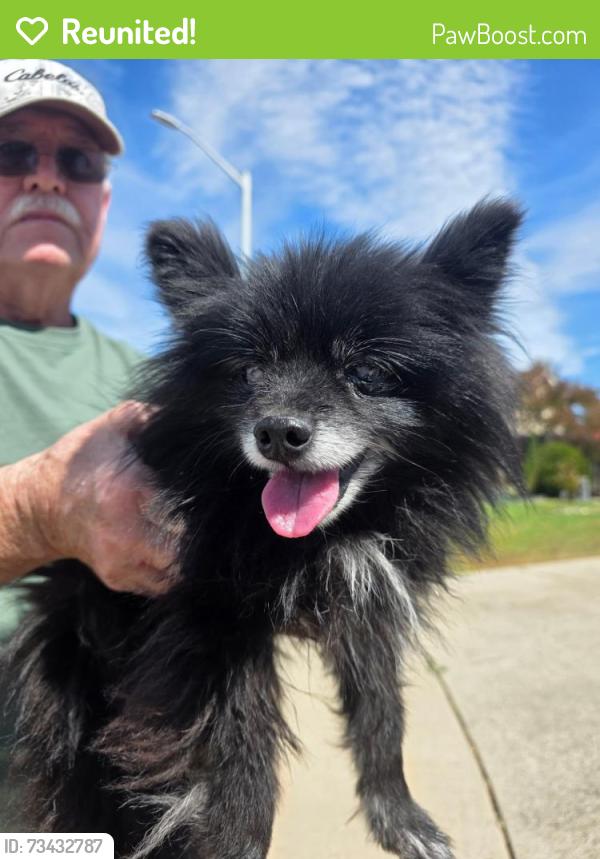Reunited Male Dog last seen Stonebridge, Roseville, CA 95661