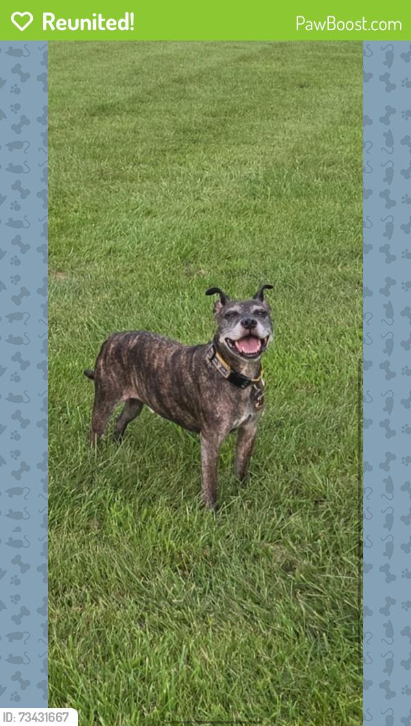 Reunited Male Dog last seen Loveless Nature Preserve, Lawrence NJ, Lawrence Township, NJ 08648