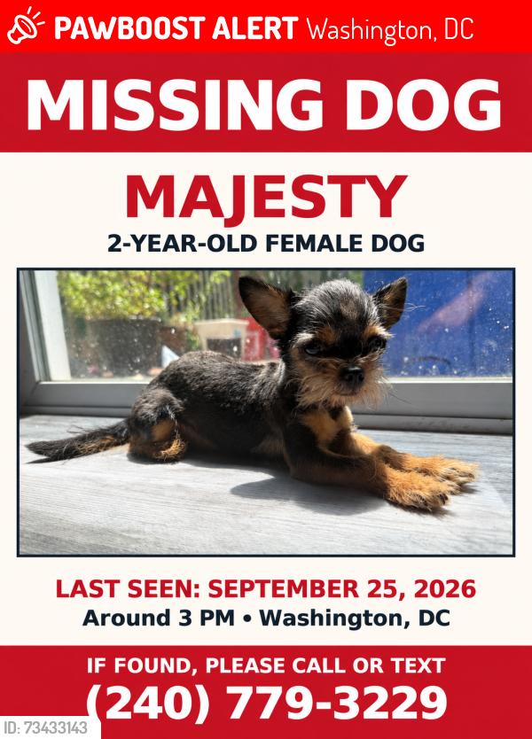 Lost Female Dog last seen Dix st ne, Washington, DC 20019