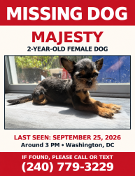 Lost Female Dog last seen Dix st ne, Washington, DC 20019
