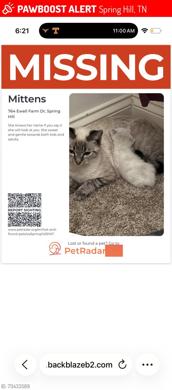 Lost Female Cat last seen Harvest Point, Spring Hill, TN 37174