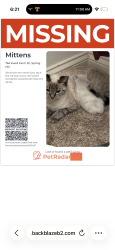 Lost Female Cat last seen Harvest Point, Spring Hill, TN 37174