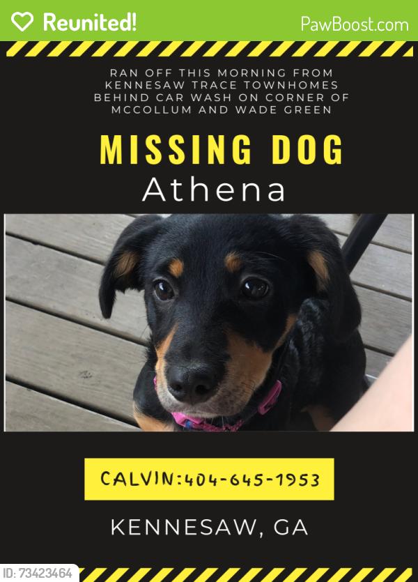 Reunited Female Dog last seen Near McCollum Pkwy NW, Kennesaw, GA 30144, Kennesaw, GA 30144