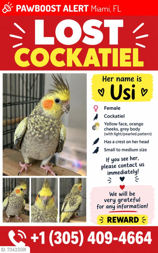 Lost Female Bird last seen N Miami Ave and 860, Miami, FL 33179