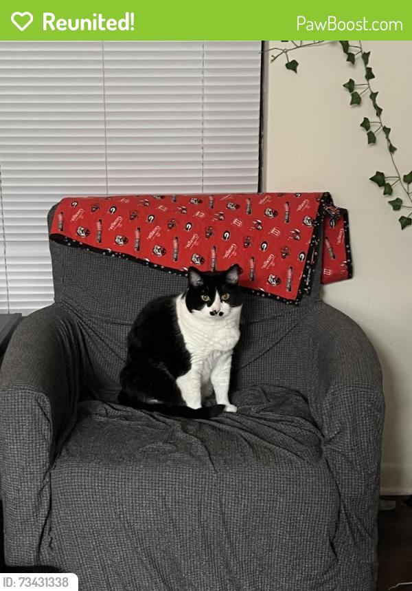 Reunited Male Cat last seen White Oak Dr, Athens, GA 30606, USA, Athens, GA 30606