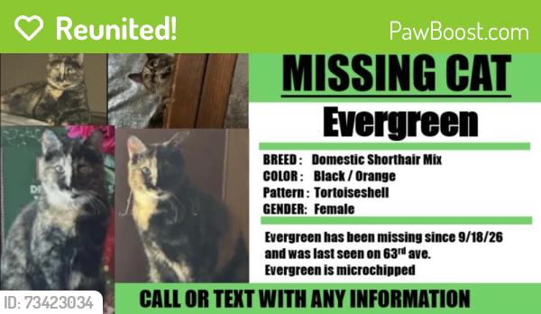 Reunited Female Cat last seen 21st street and 63rd ave, Sacramento, CA 95822