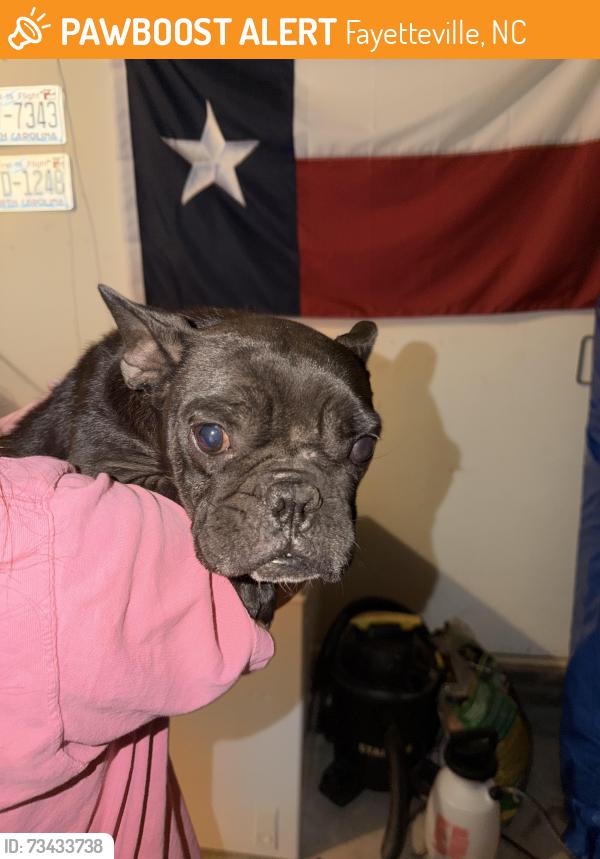 Found/Stray Female Dog last seen ridge road, Fayetteville, NC 28311