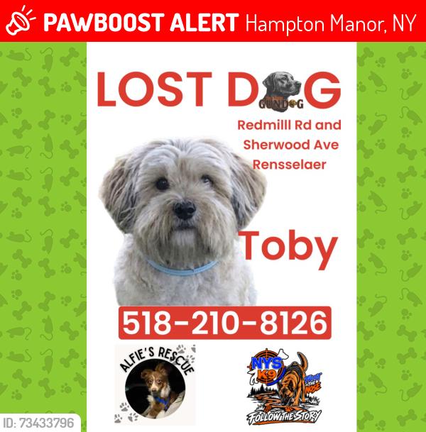 Lost Male Dog last seen Redmill Rd and Sherwood Avenue Rensselaer, Hampton Manor, NY 12144