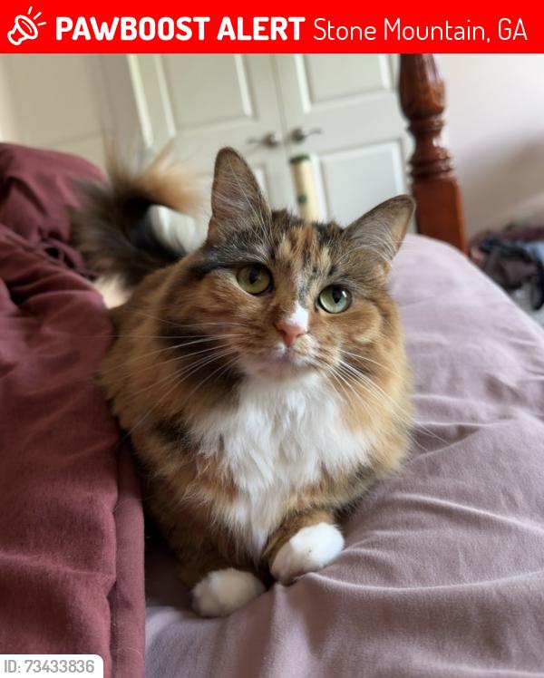Lost Female Cat last seen Revel Treats by Tora G, Stone Mountain, GA 30087