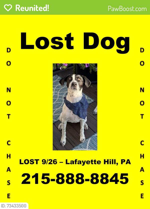 Reunited Female Dog last seen Manor RD & Golf View DR, Lafayette Hill, PA 19444