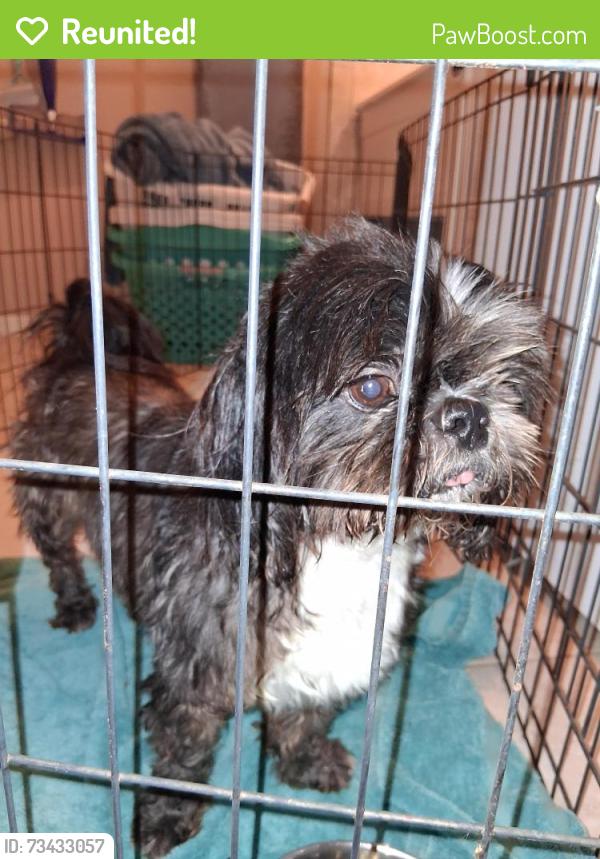 Reunited Male Dog last seen 2.5 miles NE of Edge General Store, Hearne, TX 77859