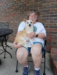Found/Stray Male Dog last seen Highland Drive Ardmore tn, Ardmore, TN 38449