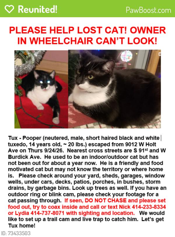 Reunited Male Cat last seen S 91st Street and W Holt Ave, Milwaukee, WI 53227