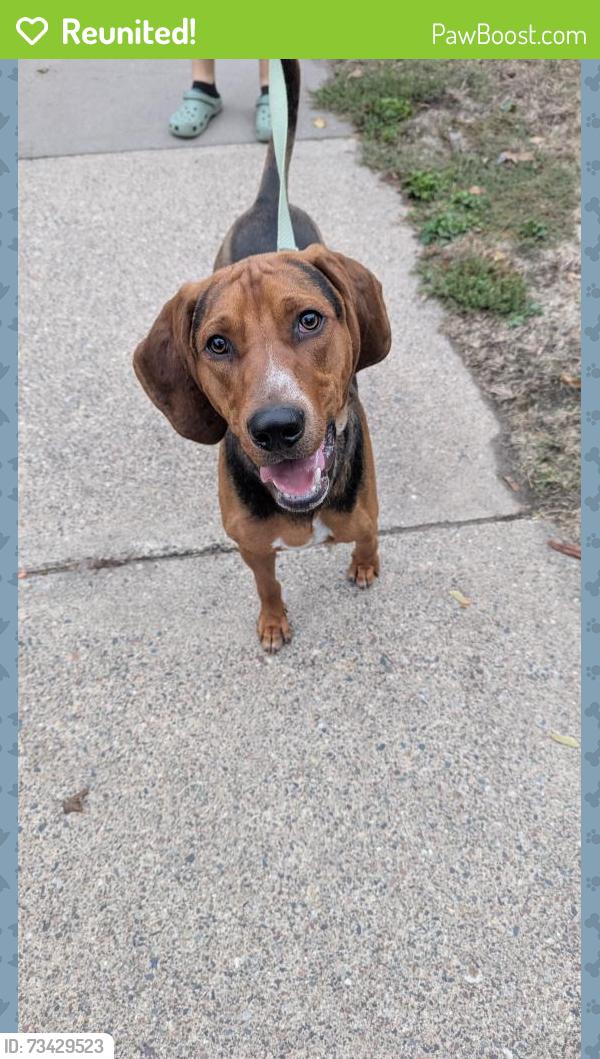 Reunited Male Dog last seen Hamline ave, Saint Paul, MN 55108