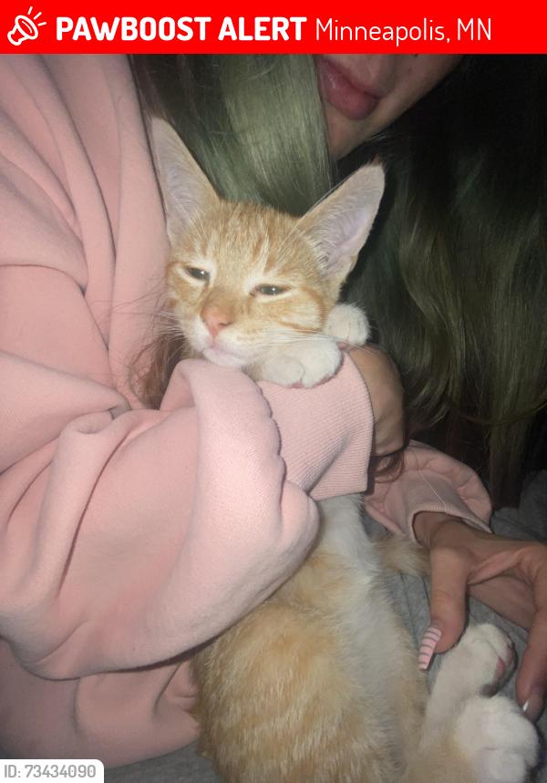 Lost Male Cat last seen 39th, minnehaha & snelling ave minneapolis, Minneapolis, MN 55406