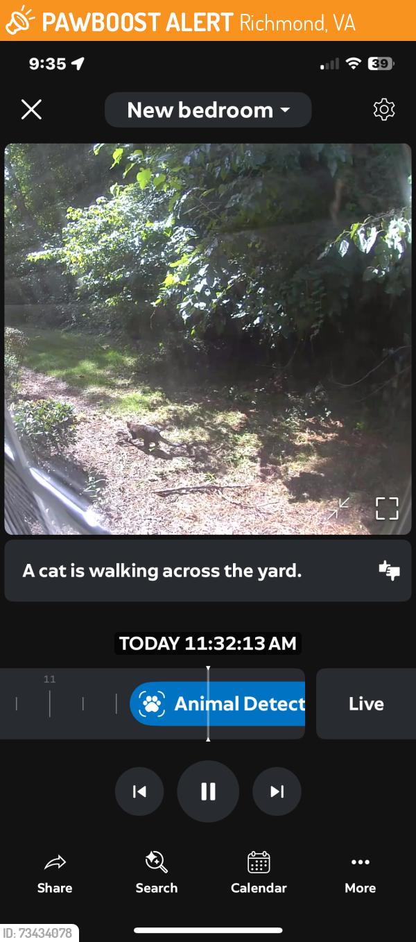 Found/Stray Unknown Cat last seen Near cats are in the rear of the apmt building 5910 Tiger Lily Lane inside Summerdale apmts. The Tabby cat is injured the left paw. The other 2 cats aren’t injured. Please help this cat may not live long., Richmond, VA 23223