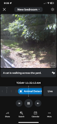 Found/Stray Unknown Cat last seen Near cats are in the rear of the apmt building 5910 Tiger Lily Lane inside Summerdale apmts. The Tabby cat is injured the left paw. The other 2 cats aren’t injured. Please help this cat may not live long., Richmond, VA 23223