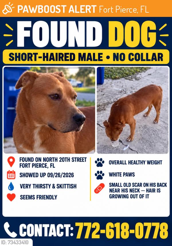Found/Stray Male Dog last seen 20th street and Avenue D, Fort Pierce, FL 34950