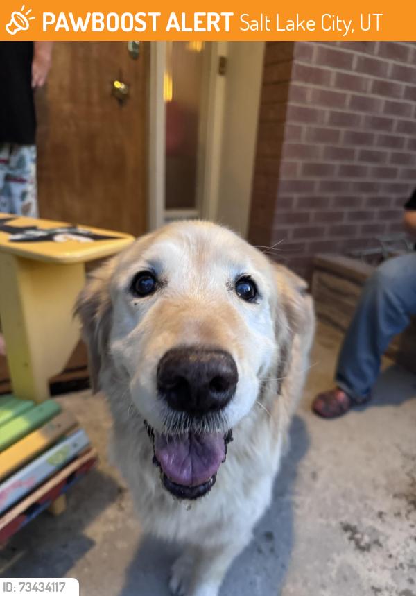 Found/Stray Female Dog last seen Near Lynwood Dr, Salt Lake City, UT 84109