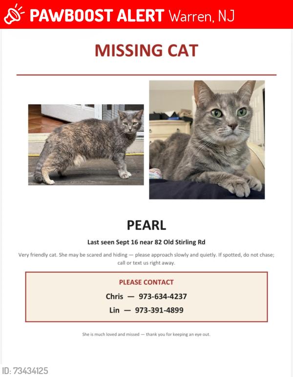 Lost Female Cat last seen Near old Stirling road, Warren, NJ 07059