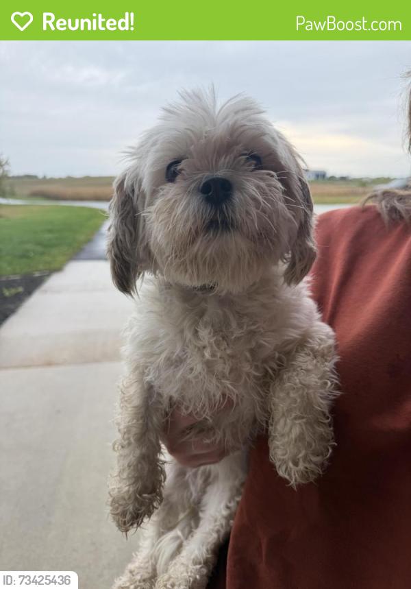 Reunited Female Dog last seen Highway 35, Maple Lake Township, MN 55313