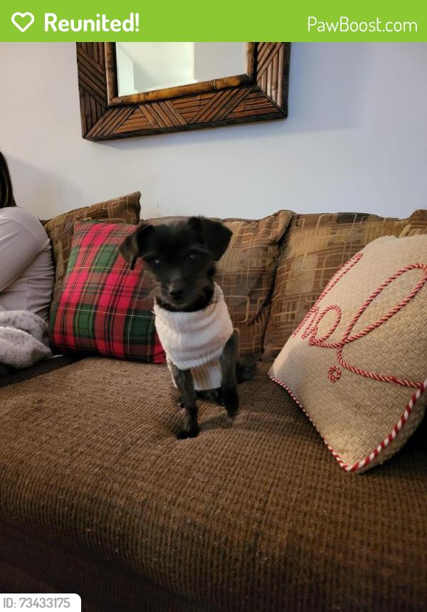 Reunited Female Dog last seen Zane Ave, Britteny & Douglas, Champlin, MN 55316