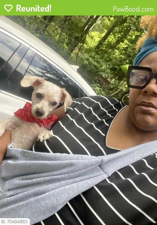 Reunited Male Dog last seen Chapel hill road, Douglasville, GA 30135