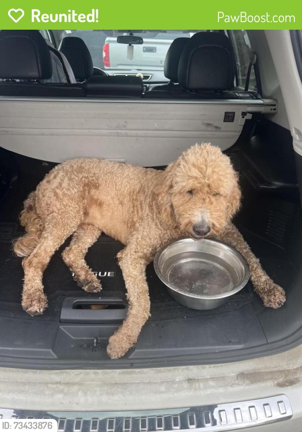 Reunited Unknown Dog last seen Strawhill Rd, Bradley County, TN 37323