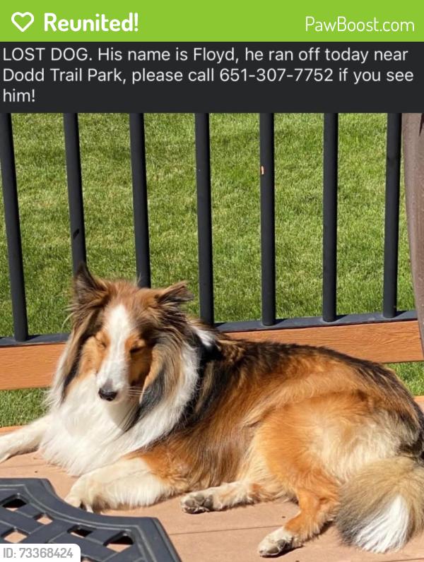 Reunited Male Dog last seen 172nd and Flagstaff, Lakeville, MN 55068