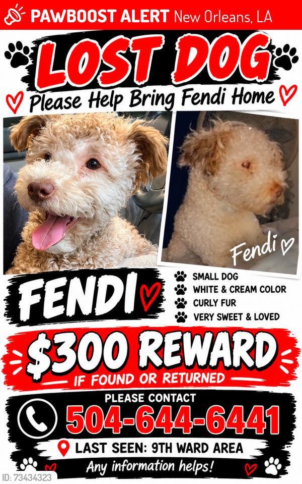 Lost Male Dog last seen Roman, New Orleans, LA 70117